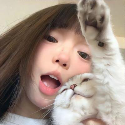 豹